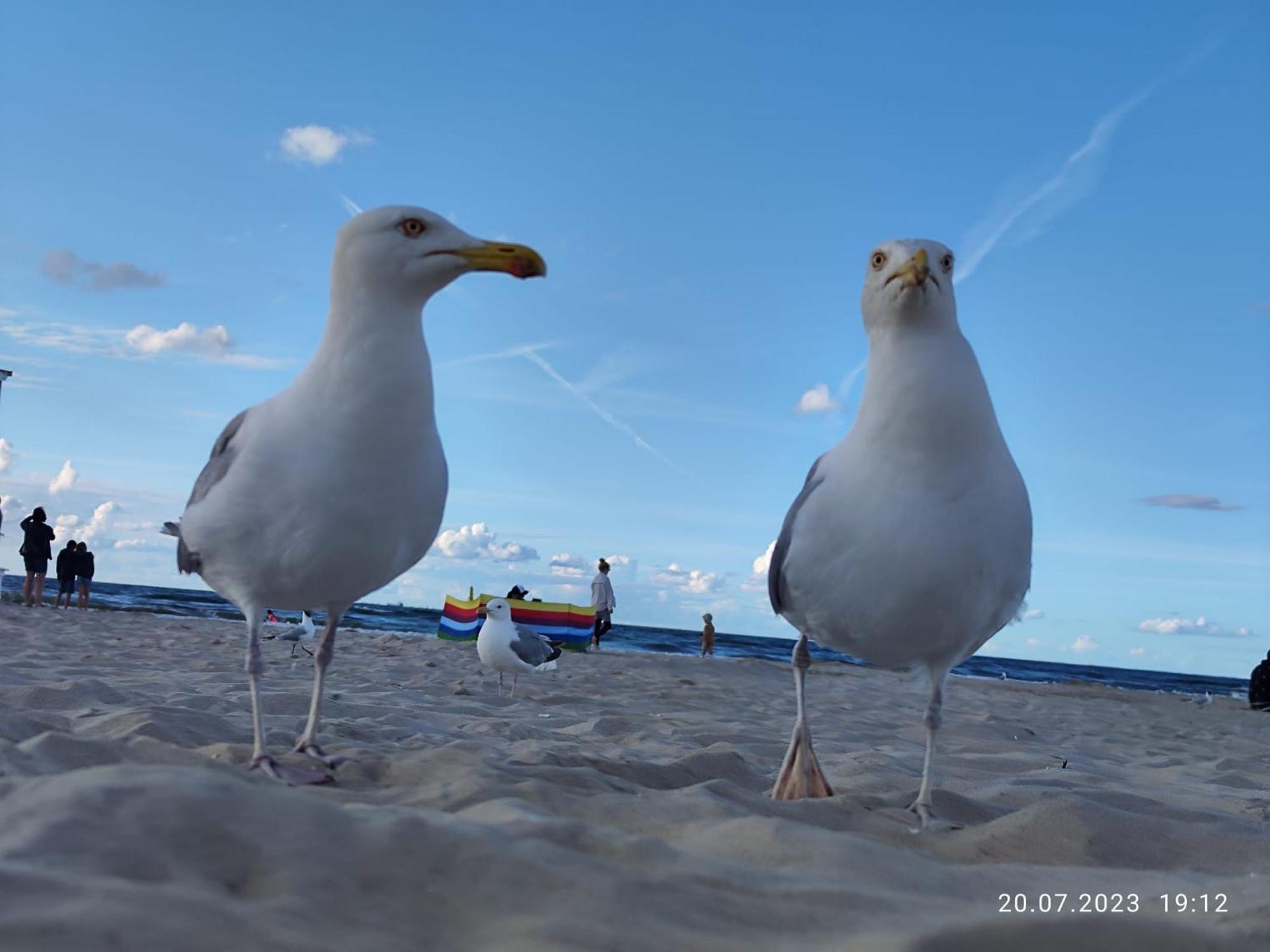 Promien Slonca Swinoujscie Exterior foto